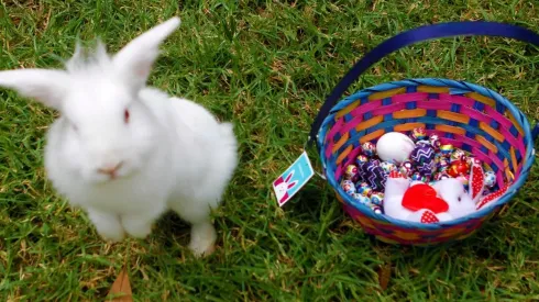 ¿Dónde comprar huevitos de pascua con delivery?