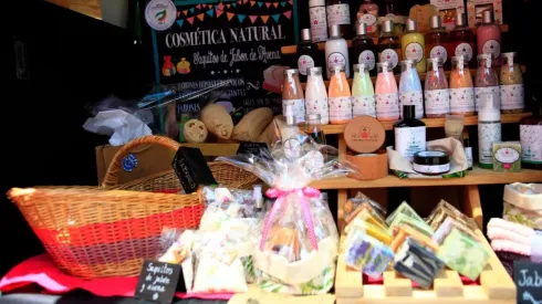 Postula al Capital Semilla de Sercotec