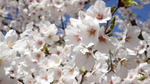 Conoce que te depara hoy el horóscopo