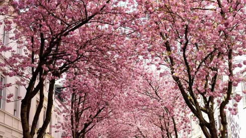 Conoce que te depara hoy el horóscopo