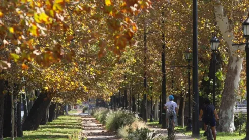 Conoce los detalles de la medida