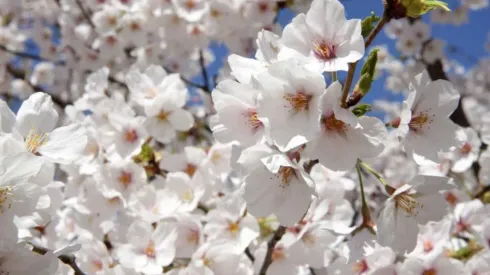 Conoce que tiene el horóscopo para ti hoy