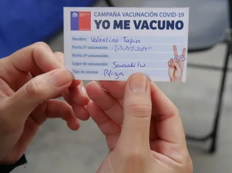 ¿Cuáles son los beneficios del Carnet Verde?