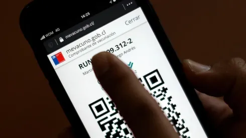 ¿En qué consiste el carnet verde y cómo se puede descargar?