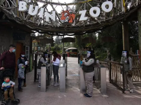 ¿Cómo apadrinar un animal del Buin Zoo?