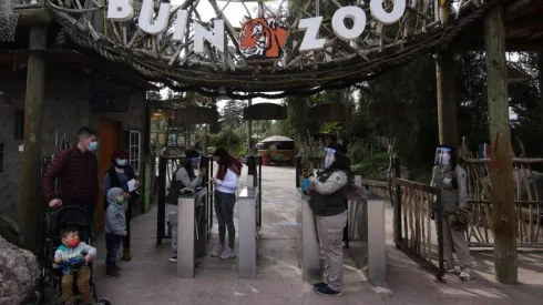 ¿Cómo apadrinar un animal del Buin Zoo?