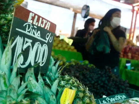 Cómo postular y en qué consiste el Bono para Pymes y ferias libres