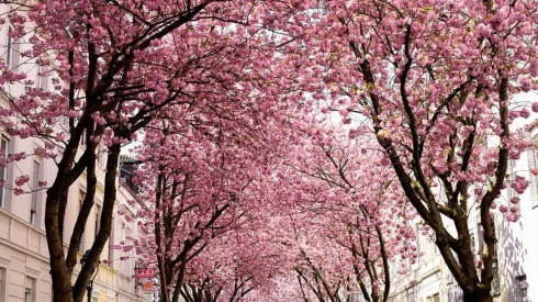 Conoce que te depara hoy tu signo zodiacal.