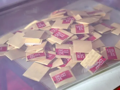 ¿Cómo votar si soy independiente o militante en las Primarias?