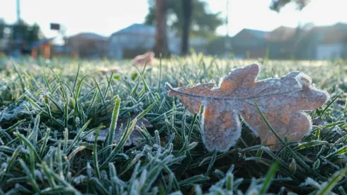 ¿Cuándo se termina el invierno?