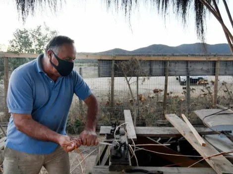 Revisa aquí si eres beneficiario del Bono Formalízate