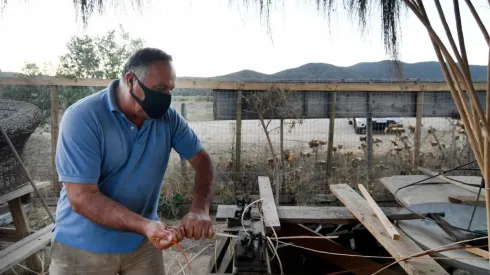 El beneficio es impulsado por la Sercotec y busca ayudar principalmente a la cultura y la artesanía.