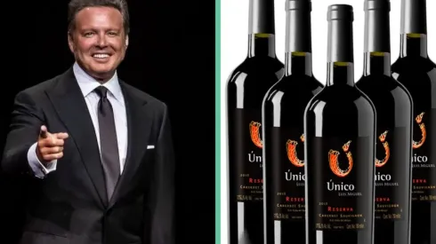 Viña Ventisquero deja de producir el vino de Luis Miguel