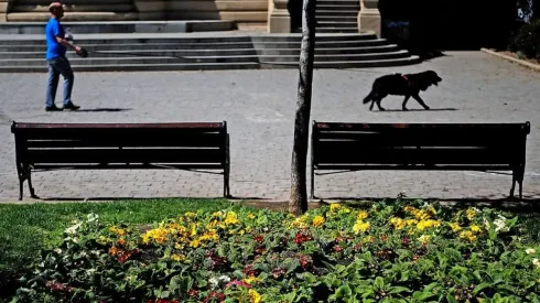 Durante primavera aflora la vegetación nativa y aumentan las temperaturas.