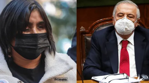 Fabiola Campillai y Jaime Mañalich competirán en las elecciones senatoriales de la RM