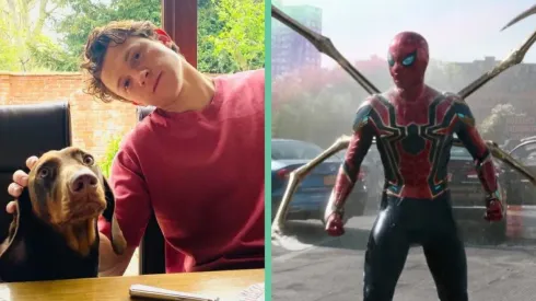 Tom Holland ha logrado controlar su constante evacuación de spoilers y está jugando en la vereda de lo seguro, de la mano de Spider-Man: No Way Home.