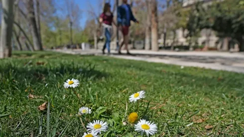 El cambio de estación se realiza este miércoles 22 de septiembre en Chile.
