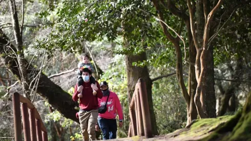 ¿Cuándo pagan el Subsidio Protege?