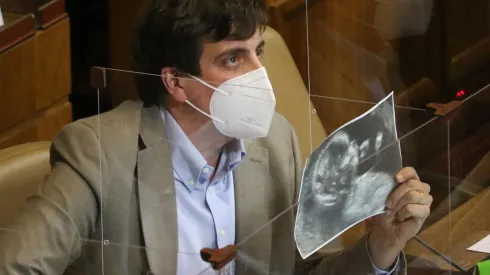 ¿Qué dijo Schalper por despenalización del Aborto?