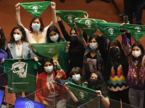 ¿Qué falta para que la despenalización del aborto se convierta en ley?