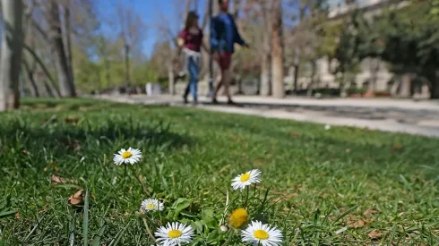 Conoce el detalle del clima esta semana en la capital.