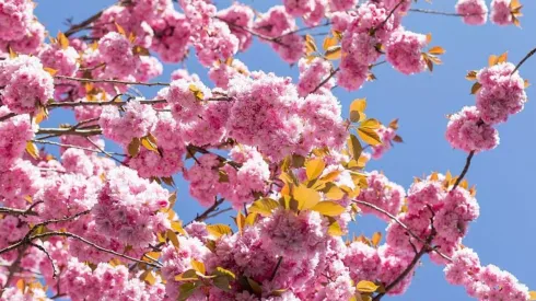 ¿Qué te depara hoy el horóscopo?