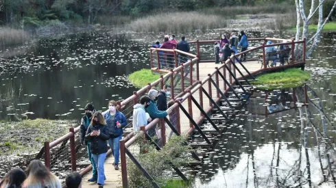 Parque Saval, Valdivia