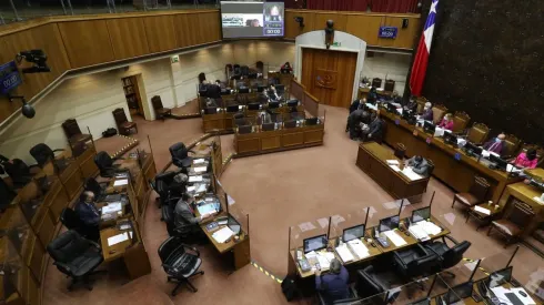 Conoce quiénes son los candidatos al Senado de estas Elecciones 2021