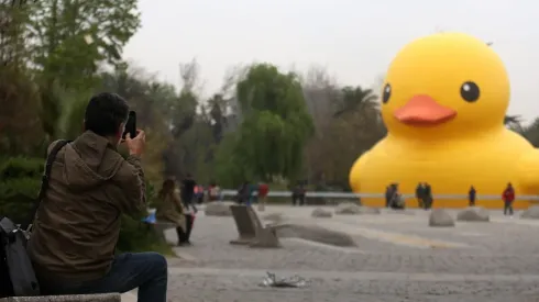 Esta semana volverá el Pato de Hule a Santiago.