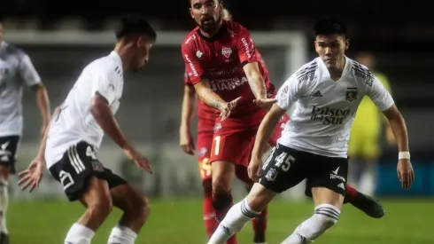 Los juveniles albos se tiene confianza