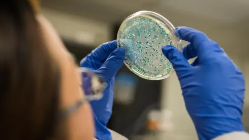 ¿Las bacterias ayudando a la vacuna contra el Covid-19?