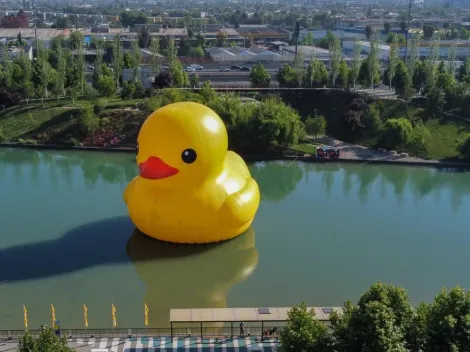 ¿Hasta qué fecha estará el Pato de Hule y las otras obras en Santiago? Consulta AQUÍ