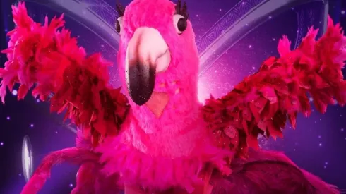 Flamenco de ¿Quién es la Máscara?