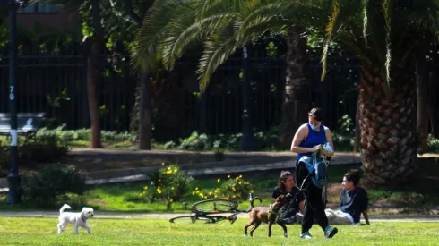 Actividades en Fase 3