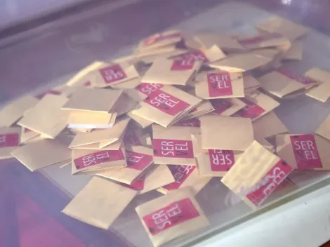 ¿Cuáles son los candidatos a diputados del Distrito 26 - Los Lagos?