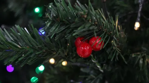 ¿Cómo saber si me corresponde el Aguinaldo de Navidad?