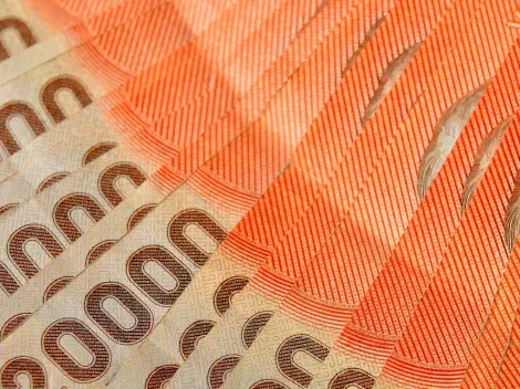 ¿Qué dineros pagaría el IFE Adulto Mayor en caso de aprobarse?