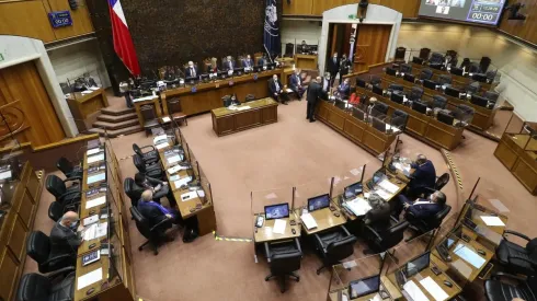 ¿Quiénes son los Senadores elegidos en las elecciones?