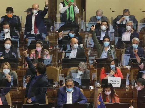 ¿Quiénes fueron son los diputados electos?