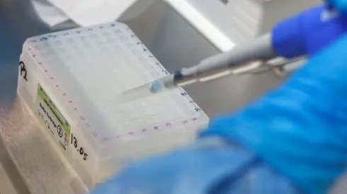 ¿Cuántos casos hay este jueves 25 de noviembre?