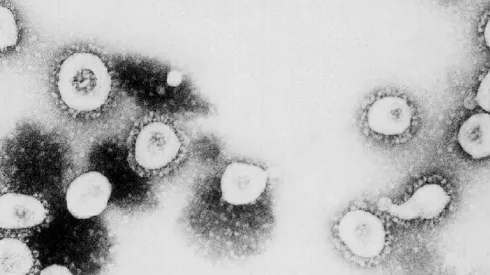 Nueva Variante COVID