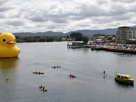 Hecho en Casa 2021 | ¿Hasta cuándo está el pato en Valdivia?