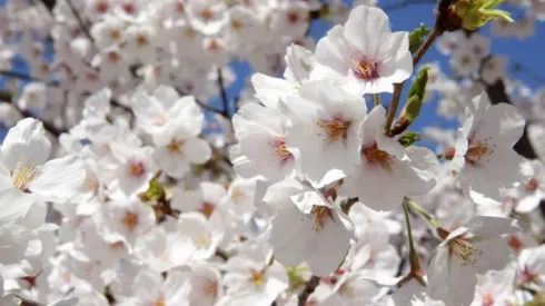 ¿Qué te depara el horóscopo?