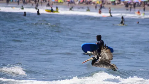 ¿A qué hora comienza el verano?