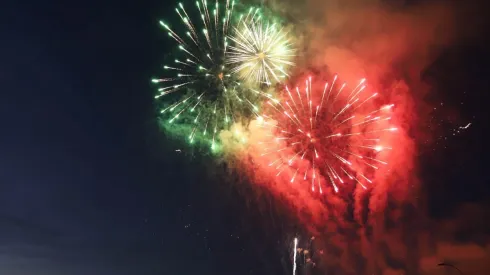 Medidas para proteger a las mascotas de los fuegos artificiales