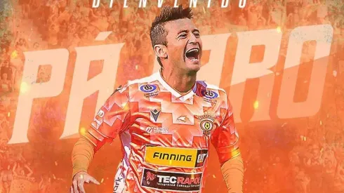 Cobreloa tiene Pájaro para intentar volar a la Primera División.