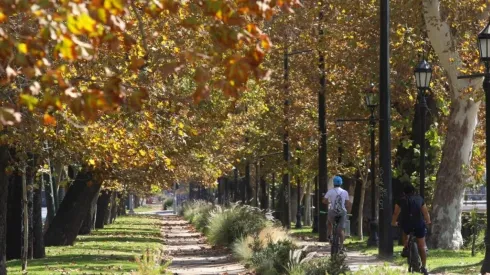 Revisa aquí cuales serán los cambios comunales.