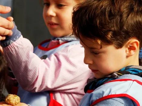 Consulta AQUÍ por los resultados de postulación Junji 2022 y el proceso a seguir