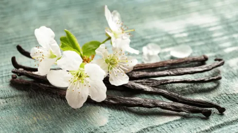 ¿Por qué la vainilla huele bien pero sabe mal?