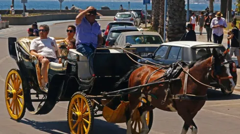 Coches Victoria Viña del Mar